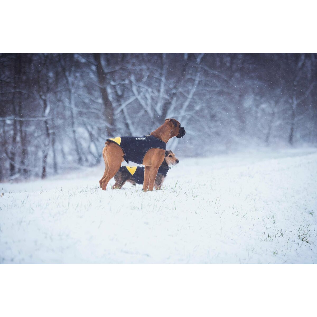 Hundsele Julius K9 IDC L/XL 2